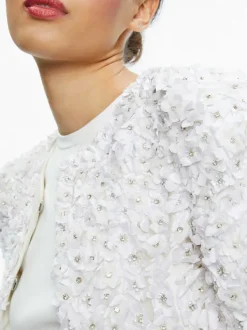 Alice and Olivia Domenica Embellished Mini Gown + Lorna Embellished Cropped Jacket-Women Matching Sets