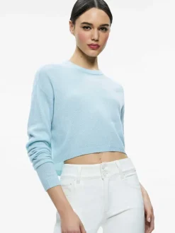 Alice and Olivia Sherrell Crew Neck Pullover-Women Sweaters
